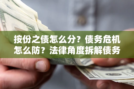 武汉按份之债怎么分？债务危机怎么防？法律角度拆解债务分配与风险自保指南