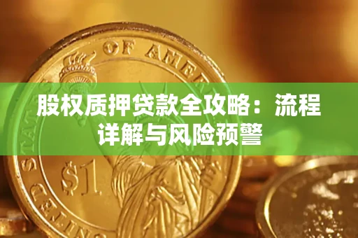 武汉股权质押贷款全攻略：流程详解与风险预警