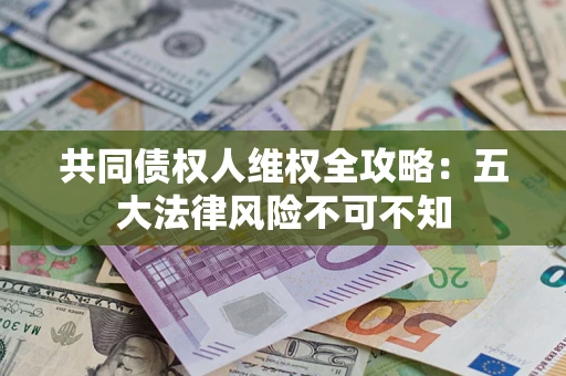 武汉共同债权人维权全攻略：五大法律风险不可不知