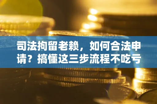 武汉司法拘留老赖，如何合法申请？搞懂这三步流程不吃亏！