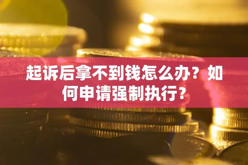 武汉起诉后拿不到钱怎么办？如何申请强制执行？