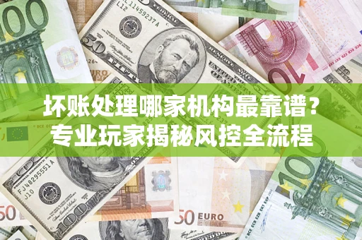 武汉坏账处理哪家机构最靠谱？专业玩家揭秘风控全流程
