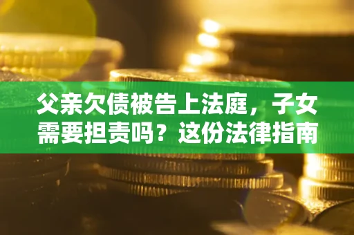 武汉父亲欠债被告上法庭，子女需要担责吗？这份法律指南必须看完