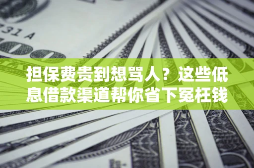 武汉担保费贵到想骂人？这些低息借款渠道帮你省下冤枉钱