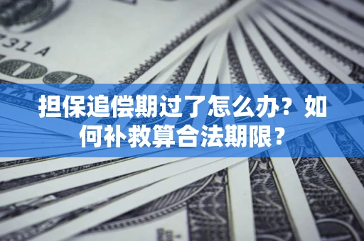 武汉担保追偿期过了怎么办？如何补救算合法期限？