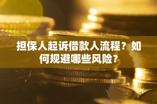 武汉担保人起诉借款人流程？如何规避哪些风险？
