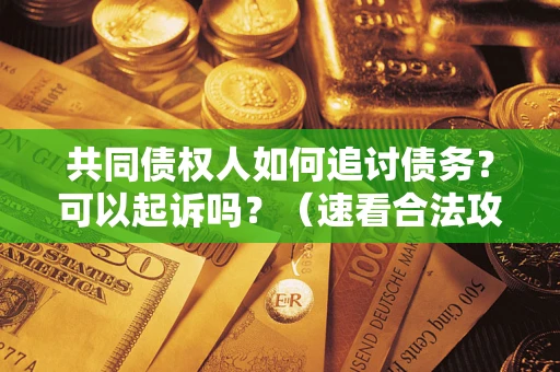 武汉共同债权人如何追讨债务？可以起诉吗？（速看合法攻略）