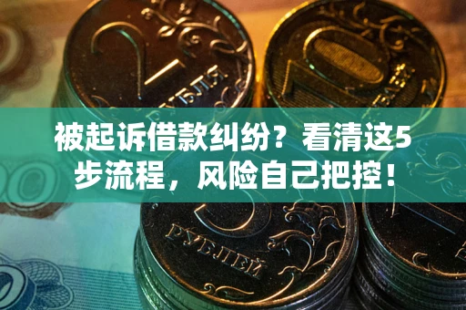 武汉被起诉借款纠纷？看清这5步流程，风险自己把控！