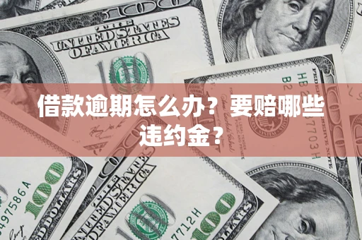 武汉借款逾期怎么办？要赔哪些违约金？